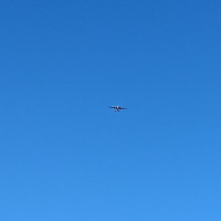 View member profile
